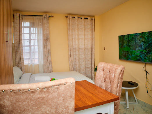 Elegant spacious Studios with a city view