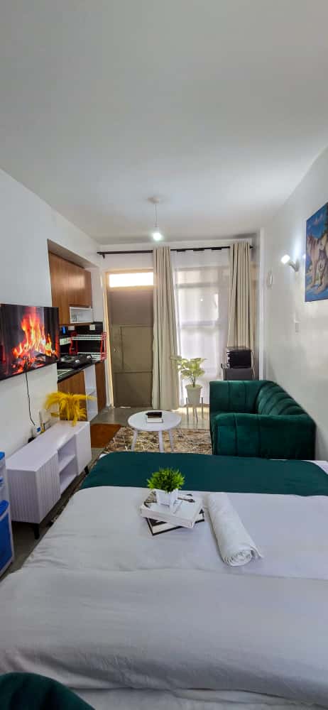 studio apartment in Roysambu Tsavo Royal Suburbs - Image 1